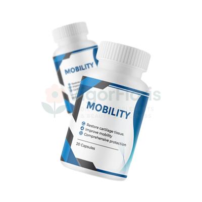 Mobility